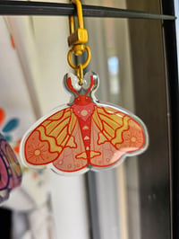 Image 5 of Sun and Moon Moth Key chains 