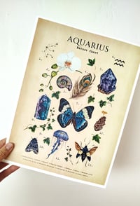 Image 2 of Vintage Aquarius Nature Chart Poster