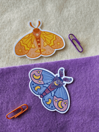 Image 1 of Sun and Moon Moth | Stickers