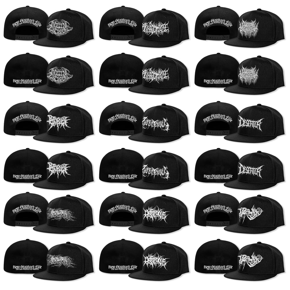Image of NSE BAND LOGO HATS (SNAP OR FLEX) IN STOCK 