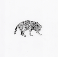 Image 1 of Ocelot by Danika Ostrowski - Framed Original Drawing