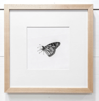 Image 2 of Monarch by Danika Ostrowski - Framed Original Drawing