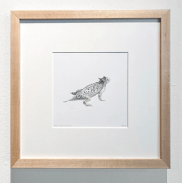 Image 2 of Horned Toad by Danika Ostrowski - Framed Original Drawing