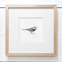 Image 2 of Golden-Cheeked Warbler by Danika Ostrowski - Framed Original Drawing