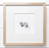 Image 2 of Black-footed Ferret by Danika Ostrowski - Framed Original Drawing