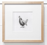 Image 2 of Attwater's Prairie Chicken by Danika Ostrowski - Framed Original Drawing