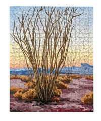 Image 2 of Ocotillo by Danika Ostrowski - 500 piece puzzle