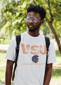 Image 1 of VSU Sunburst
