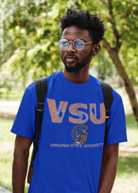 Image 2 of VSU Sunburst