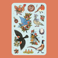 Vinyl Sticker Set: Spring Birds & Blossoms