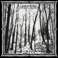 Bergthron – “Verborgen in den Tiefen der Wälder” LP