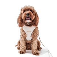 Image 3 of MILANO CORDUROY HARNESS - CREME BRULEE