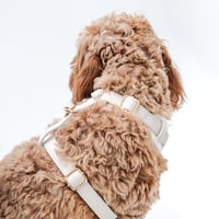 Image 6 of MILANO CORDUROY HARNESS - CREME BRULEE