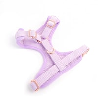 Image 5 of MILANO CORDUROY HARNESS - PERIWINKLE