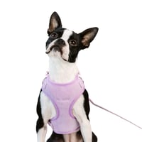 Image 6 of MILANO CORDUROY HARNESS - PERIWINKLE