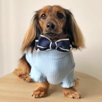 Image 2 of OXFORD BOW TIE