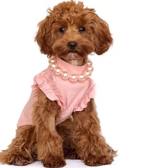 Image 1 of RUFFLE TOP 