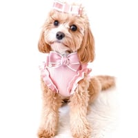 Image 4 of RUFFLE TOP 