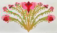 Image 1 of Epiphyllum 1