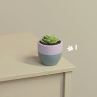 Image 2 of Miniature plant - v.2