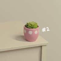 Image 3 of Miniature plant - v.2