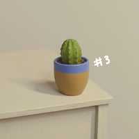 Image 4 of Miniature plant - v.2
