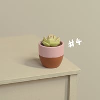 Image 5 of Miniature plant - v.2
