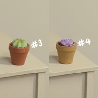 Image 3 of Miniature plant - v.3 [small]