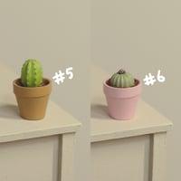Image 4 of Miniature plant - v.3 [small]
