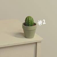 Image 3 of Miniature plant - v.3 [medium]