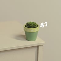 Image 4 of Miniature plant - v.3 [medium]