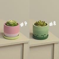 Image 5 of Miniature plant - v.1