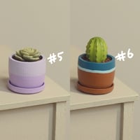 Image 4 of Miniature plant - v.1