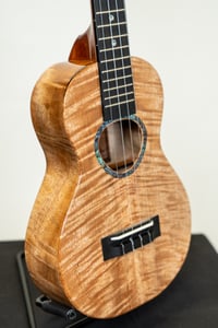 Image 3 of Shop Order KoAloha KCMR-00 Curly Mango Rosette Concert Gloss