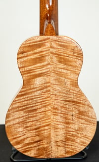 Image 6 of Shop Order KoAloha KCMR-00 Curly Mango Rosette Concert Gloss