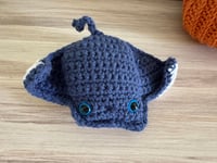 Image 3 of Ray
