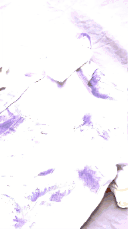 BURNT SHIRT BY PLANTS