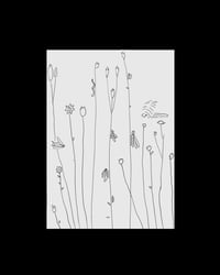 Insectos dibujo original