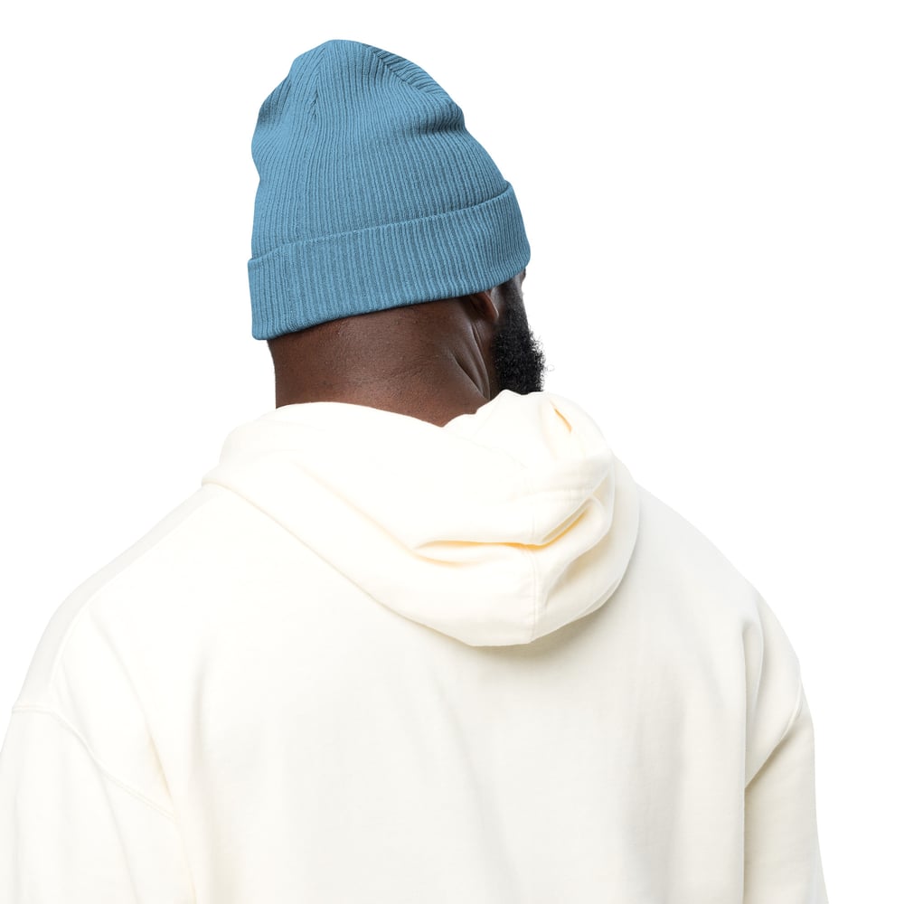 Image of Chevron Organic Ribbed Beanie - Blue