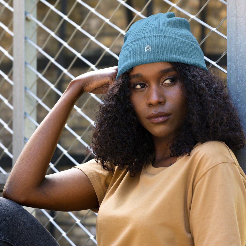 Image of Chevron Organic Ribbed Beanie - Blue