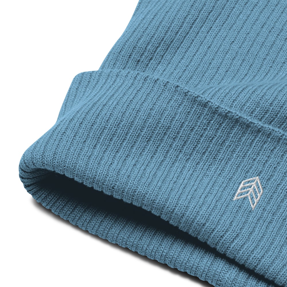 Image of Chevron Organic Ribbed Beanie - Blue