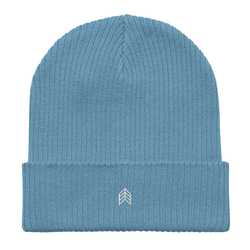 Image of Chevron Organic Ribbed Beanie - Blue