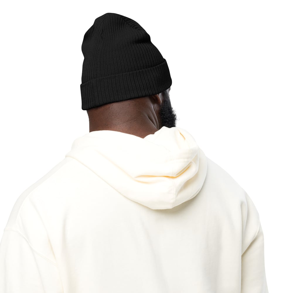 Image of Chevron Organic Ribbed Beanie