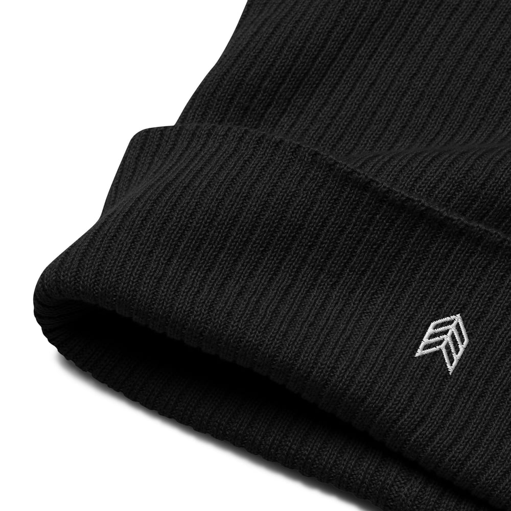 Image of Chevron Organic Ribbed Beanie