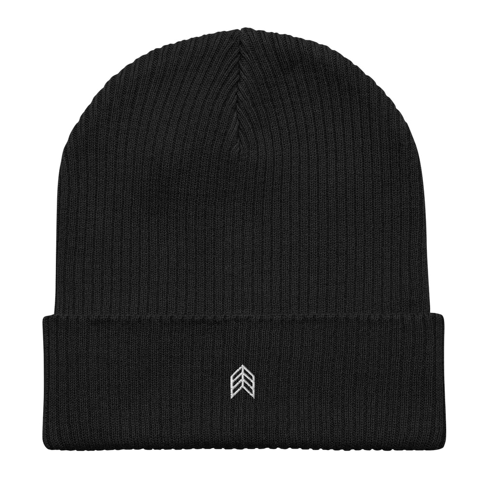 Image of Chevron Organic Ribbed Beanie