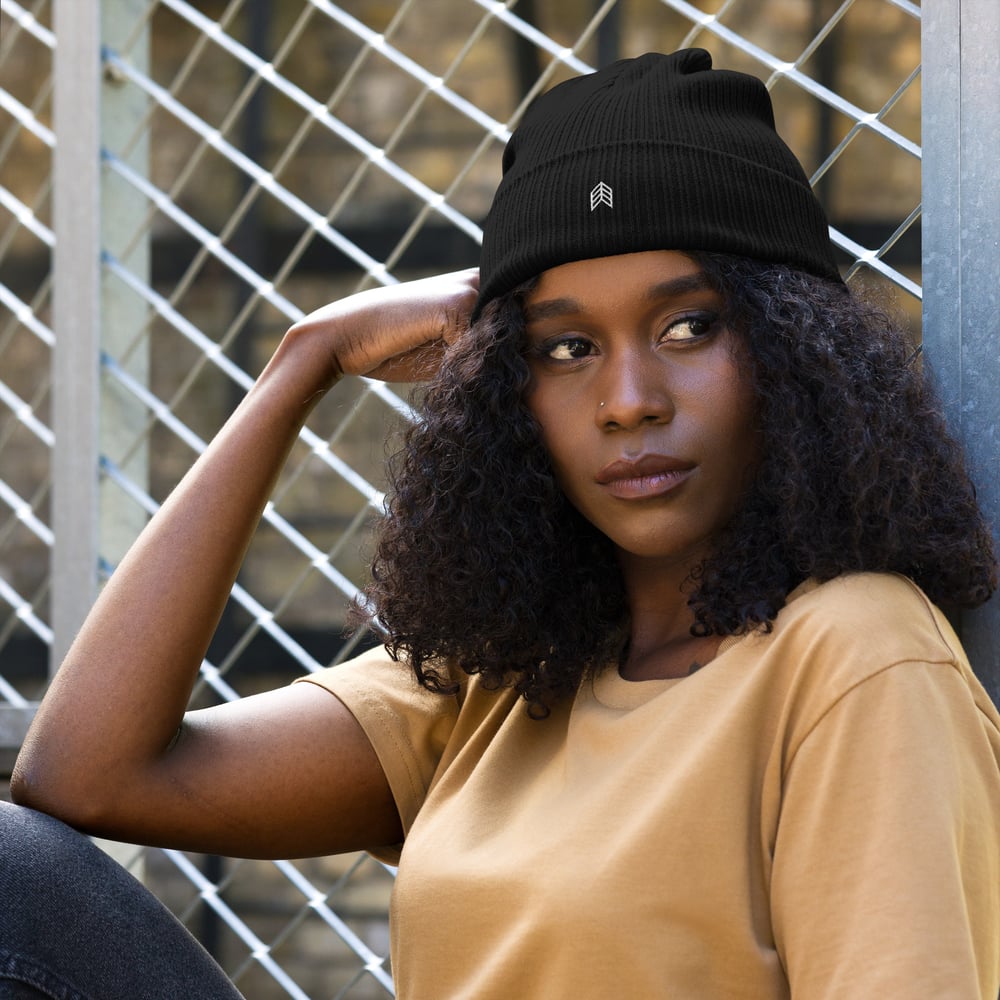 Image of Chevron Organic Ribbed Beanie