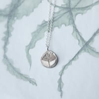 Image 4 of Folium