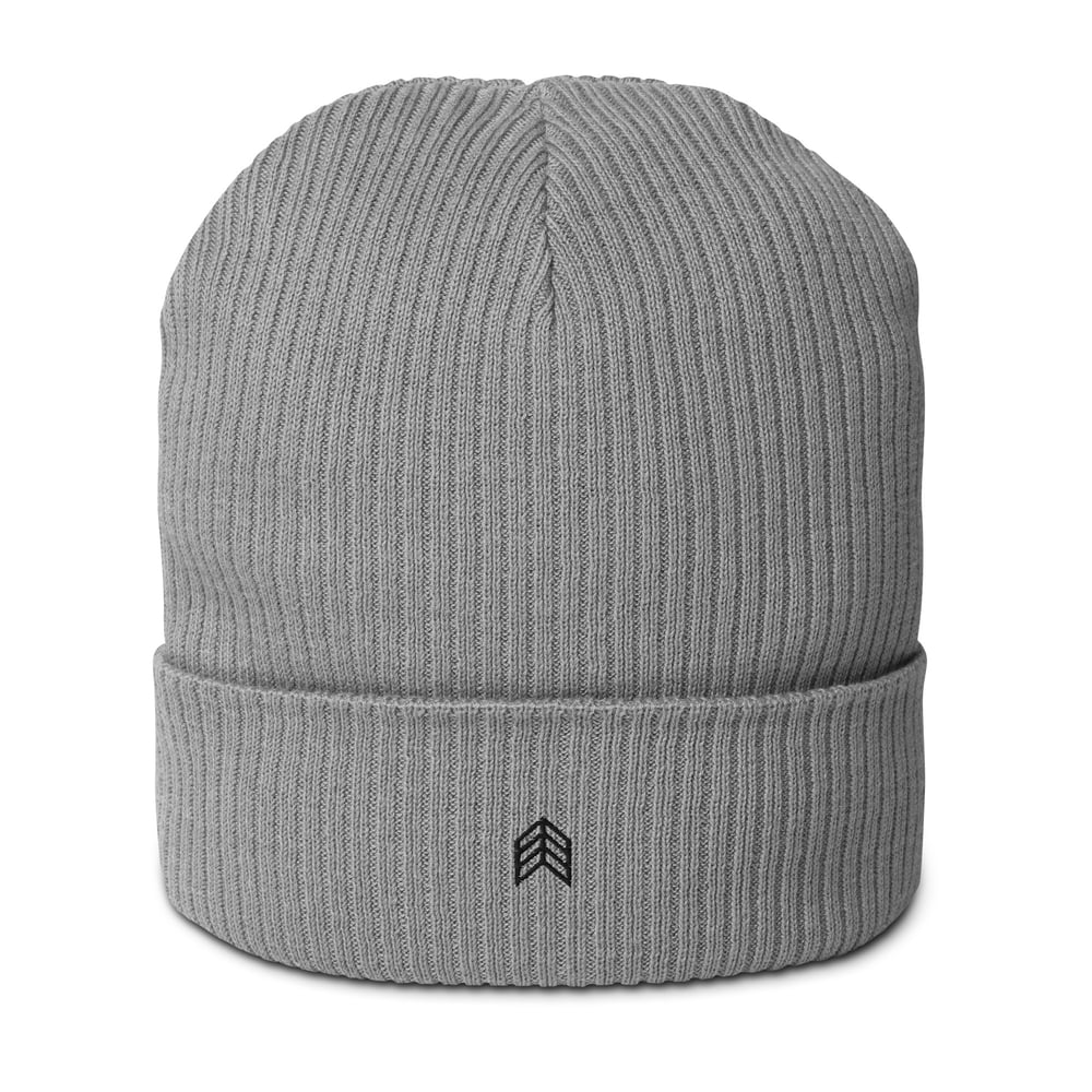 Image of Chevron Organic Ribbed Beanie - Grey