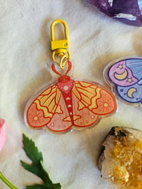 Image 3 of Sun and Moon Moth Key chains 