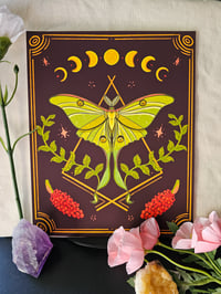 Image 1 of Luna Moth || Print